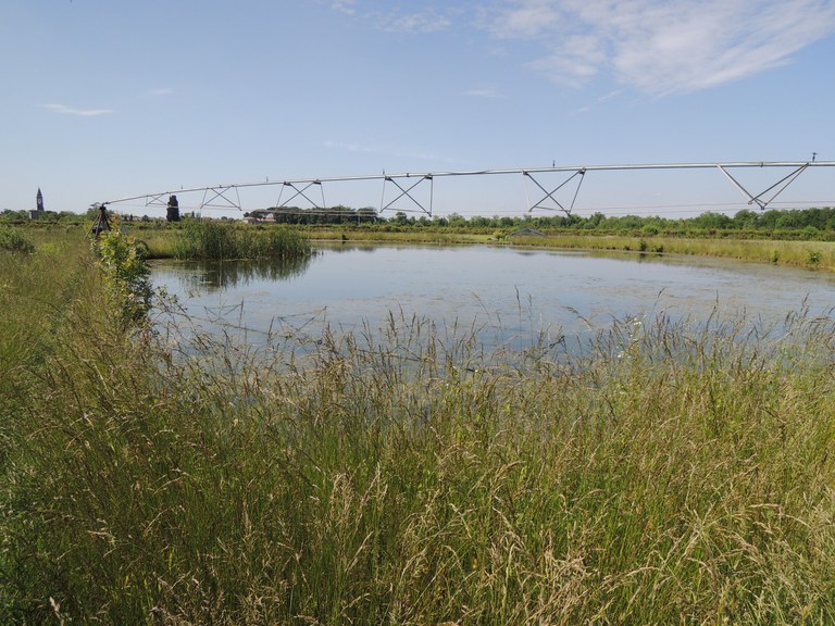 Azienda Agricola - Il laghetto Centrale